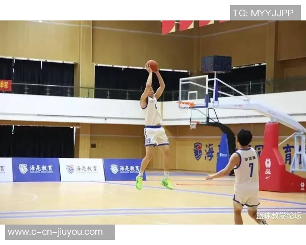 篮球明星的成长之路与职业生涯的辉煌成就探讨